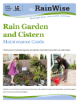 Rain Garden and Cistern