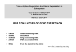 RNA REGULATORS OF GENE EXPRESSION