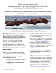 Marine Mammal Avoidance Plan Introduction