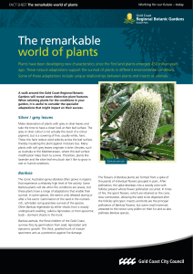 The remarkable world of plants