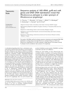 Sequence analysis of 16S rRNA, gyrB and catA genes and DNA