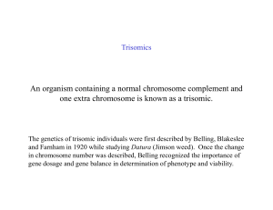 An organism containing a normal chromosome complement and