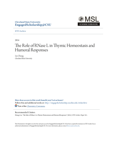 The Role of RNase L in Thymic Homeostasis and Humoral Responses
