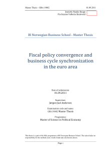 Fiscal policy convergence and business cycle
