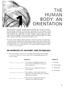 the human body: an orientation