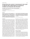 Scrapie-like prion protein is translocated to the nuclei of infected