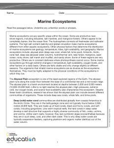 Marine Ecosystems - National Geographic