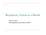 Respiratory System in a Breath