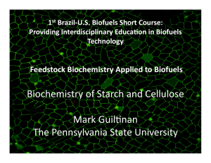 Biochemistry of Starch and Cellulose Mark Guilenan The