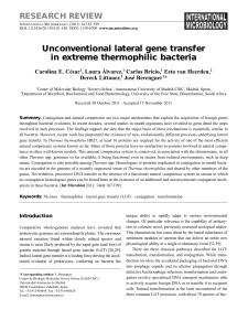 Unconventional lateral gene transfer in extreme thermophilic bacteria