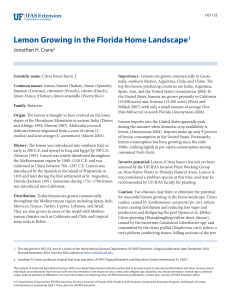 Lemon Growing in the Florida Home Landscape1 - EDIS