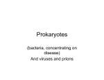 Prokaryotes - Stark home page