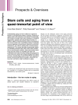 Stem cells and aging from a quasiimmortal point of view