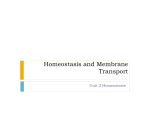 Homeostasis and Membrane Transport