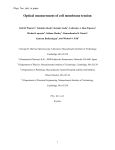 Optical measurement of cell membrane tension