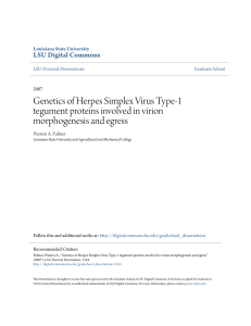 Genetics of Herpes Simplex Virus Type