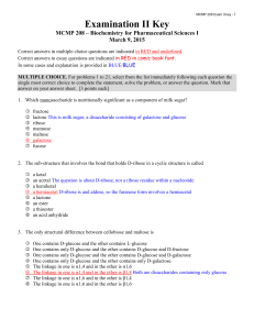 Final Examination