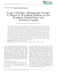 Lesser Celandine (Ranunculus ficaria): A Threat to