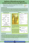 View Poster - Technology Networks