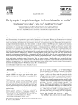 The dystrophin / utrophin homologues in Drosophila and in sea urchin