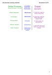 cell processes summary.notebook