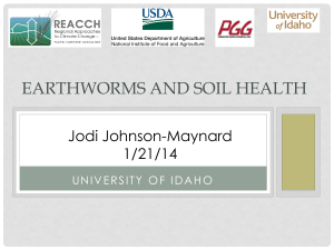 Earthworms and Soil Health
