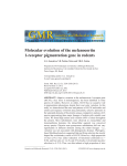 Molecular evolution of the melanocortin 1-receptor - Funpec-RP