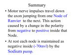 Summary Sodium pump.