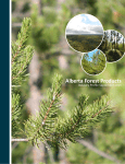 Alberta Forest Products - Industry Profile September 2015