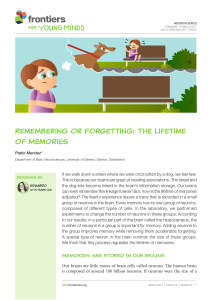 Remembering or Forgetting: The Lifetime of Memories