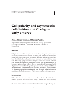 1 Cell polarity and asymmetric cell division: the C. elegans early