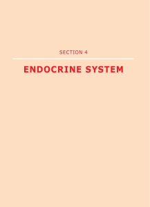 1. overview of the endocrine system