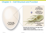 Chap 3 Cell Structure and Function Spring 2015