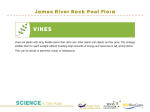 VINES - James River Park System