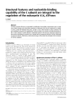 Structural features and nucleotide-binding capability of the C subunit