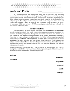 Seeds and Fruits - Home Page for Ross Koning