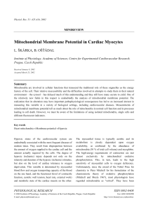 Mitochondrial Membrane Potential in Cardiac