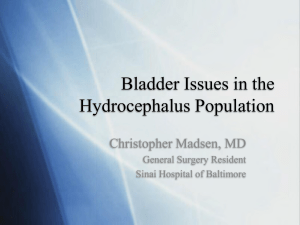 Bladder Issues in the Hydrocephalus Population