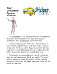 The Circulatory System edhelper pages