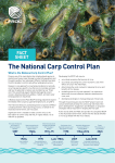 Controlling carp fact sheet