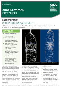 746.29 kb Phosphorus Management Northern Region Fact