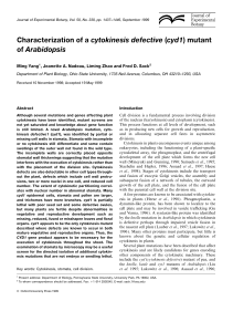 Characterization of a cytokinesis defective (cyd1