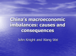 China`s Macroeconomic Imbalances: Causes and