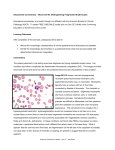 Blood Cell ID - American Proficiency Institute
