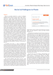 Bacterial Pathogens in Plants