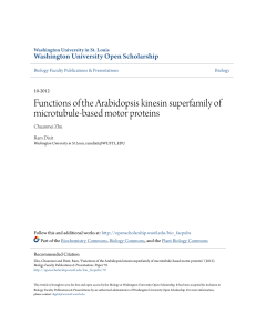 Functions of the Arabidopsis kinesin superfamily of microtubule