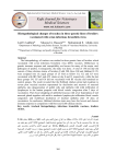 Histopathological changes of trachea in three genetic lines of