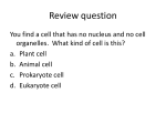 Cell Parts compared to a city