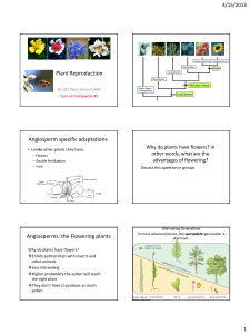 Plant Reproduction Angiosperm specific adaptations Angiosperms