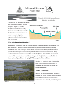 Floodplains - Missouri Stream Team